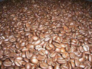 Hundreds of amber beans or glass beads filling the frame